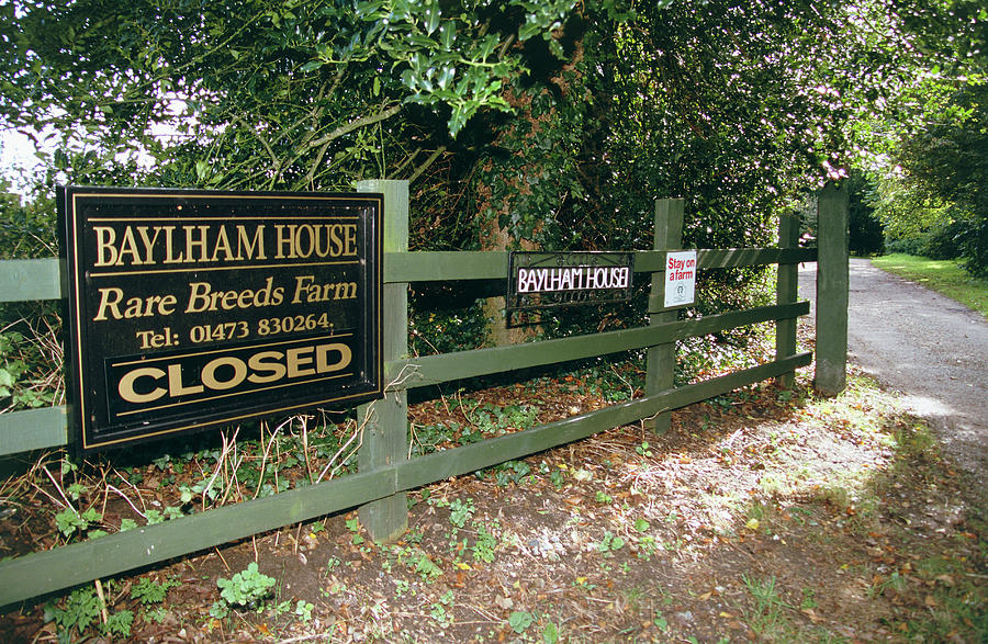 Farm Closed By Bluetongue Virus Outbreak Photograph by David Hay Jones/science Photo Library