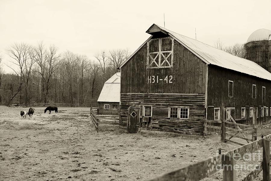 Farm Days in Black and White Photograph by Paul Ward