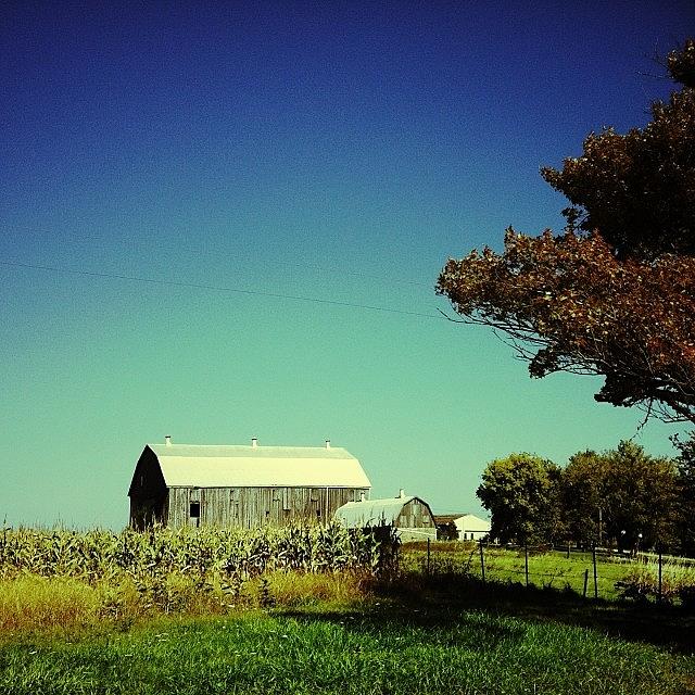 Barn Photograph - Farm. #farming #corn #barn #cemeteryrd by Marc Plouffe