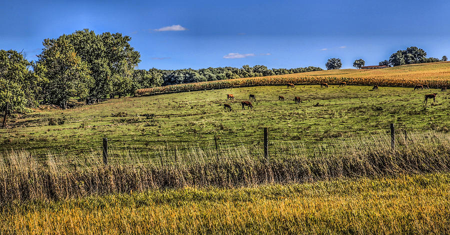 Farm Field Photograph by Ray Congrove