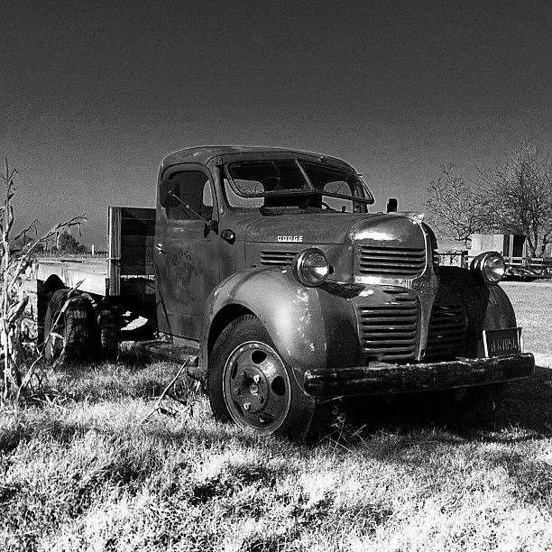 Vintage Photograph - Farm Fresh Dodge Flatbed by Paul Wallingford