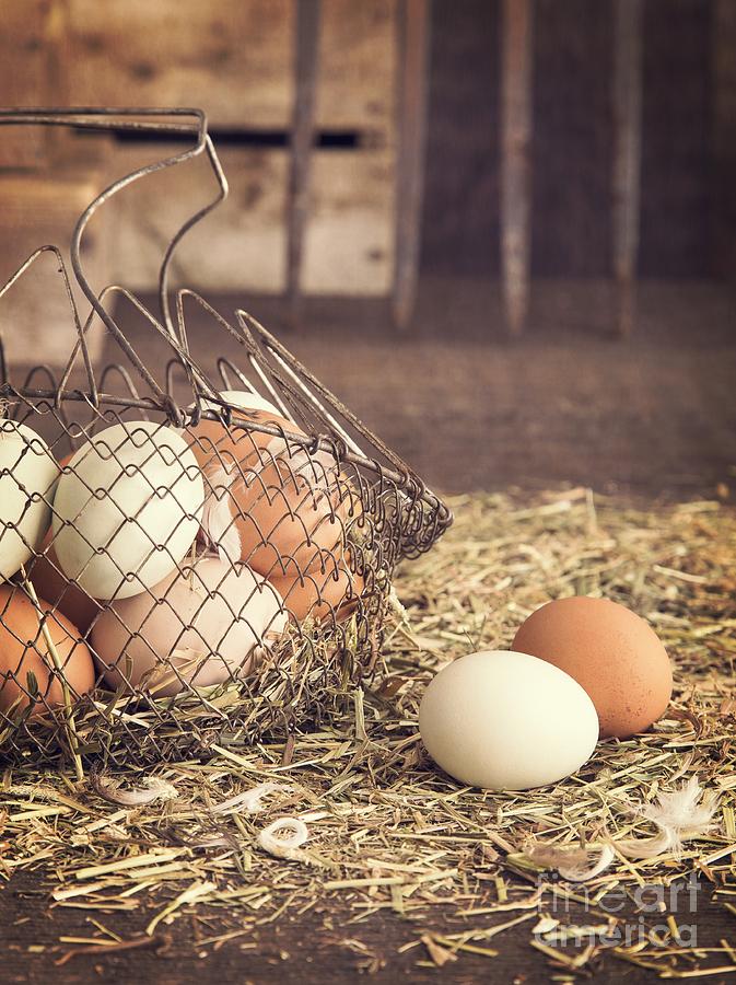 Chicken Photograph - Farm Fresh Eggs by Edward Fielding