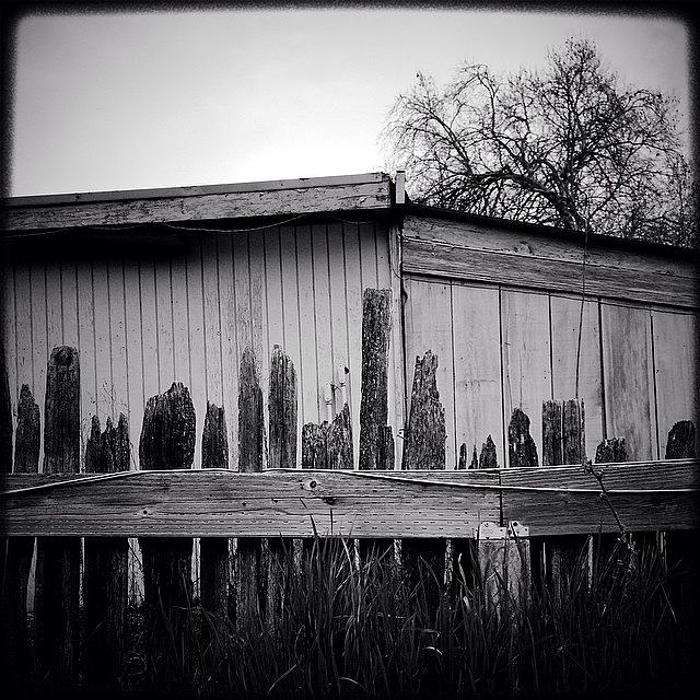 Petaluma Photograph - Farm Gothic. #instagood #picoftheday by Kevin Smith