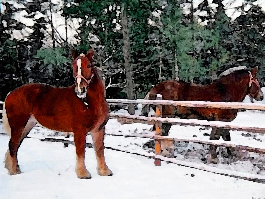 Horse Digital Art - Farm Horses In The Wintertime by Miss Dawn