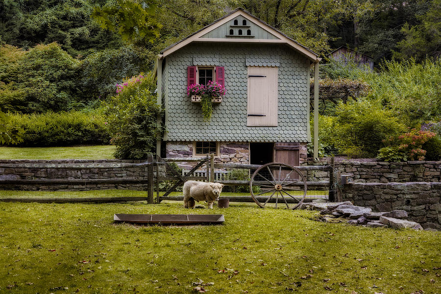 Farm House And Babydoll Sheep Photograph by Susan Candelario