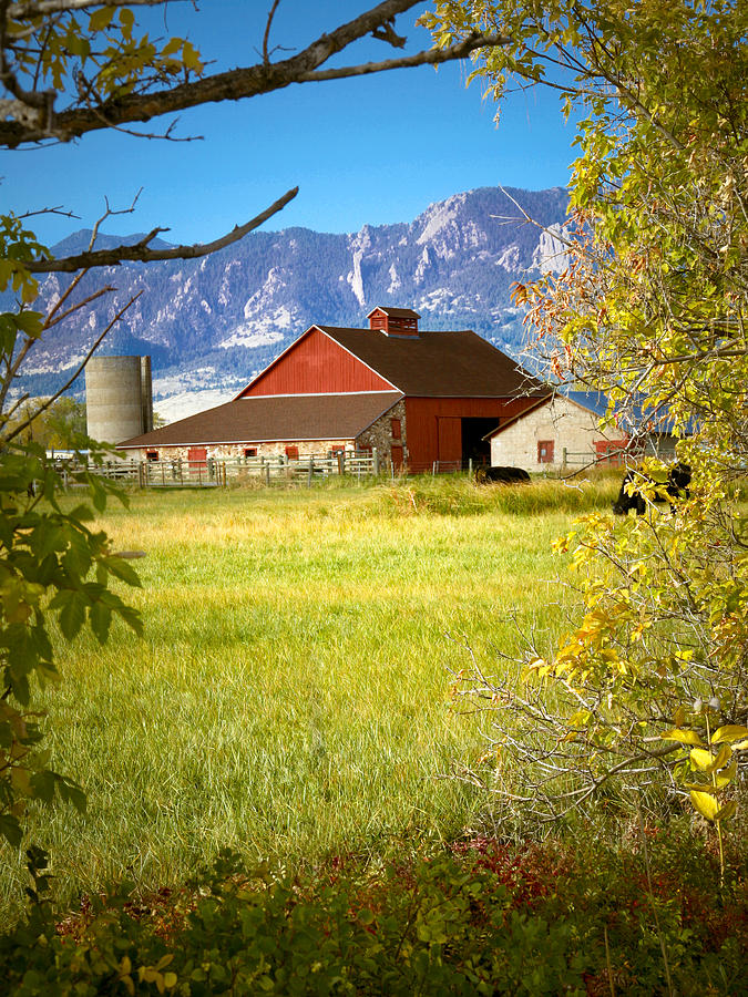 Cow Photograph - Farm in Boulder Colorado by Marilyn Hunt