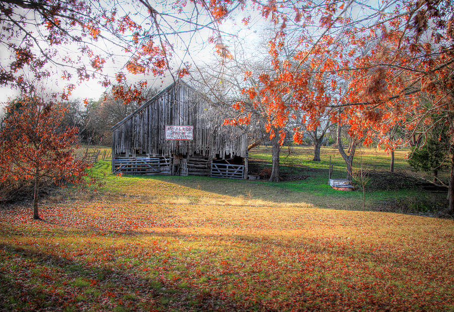 Fall Photograph - Farm In the Fall by David and Carol Kelly