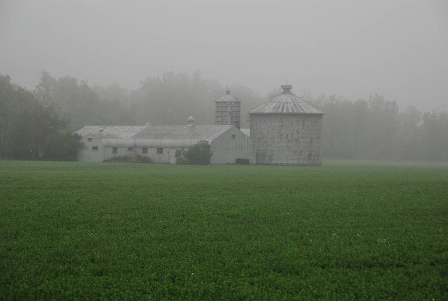 Farm in the Fog Photograph by Guy Whiteley