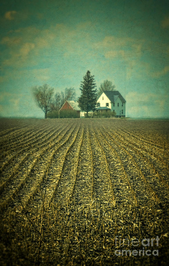 Farm Photograph by Jill Battaglia