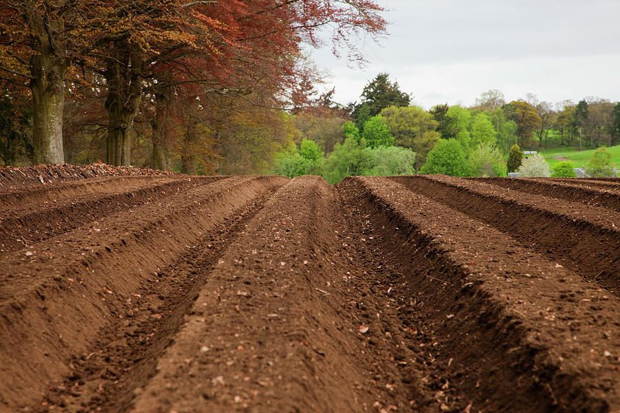 Farm Land Tilled And Ready For Planting Photograph by John Short