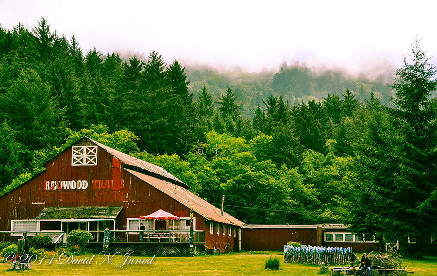 Farm Life Nor Cal. Photograph by David Junod