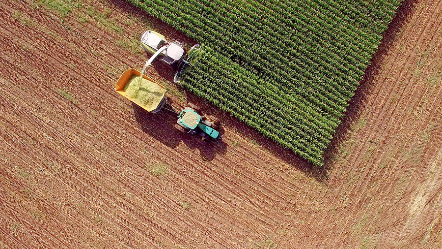 Farm machines harvesting corn for feed or ethanol Photograph by JamesBrey