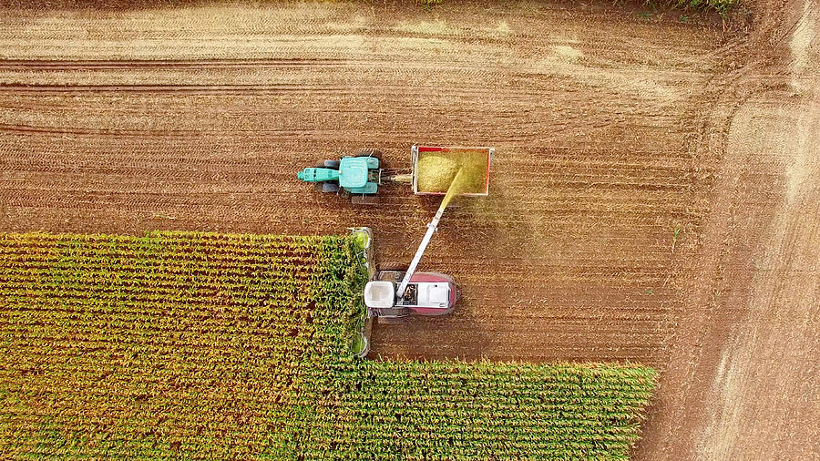 Farm machines harvesting corn in September, aerial view Photograph by JamesBrey