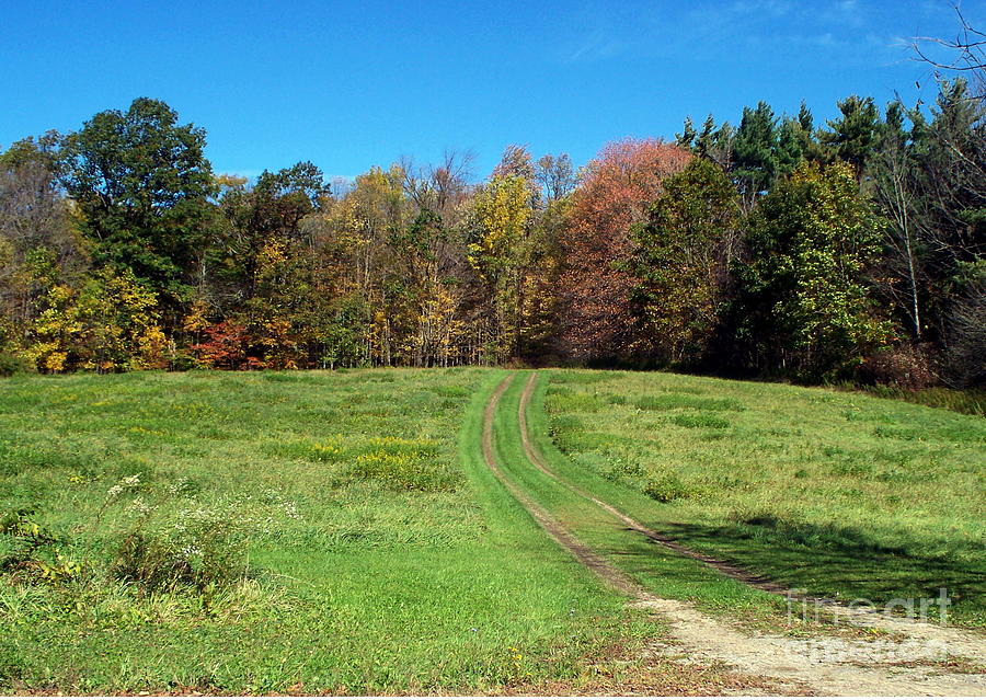 Tree Photograph - Farm Road in Autumn by Christian Mattison