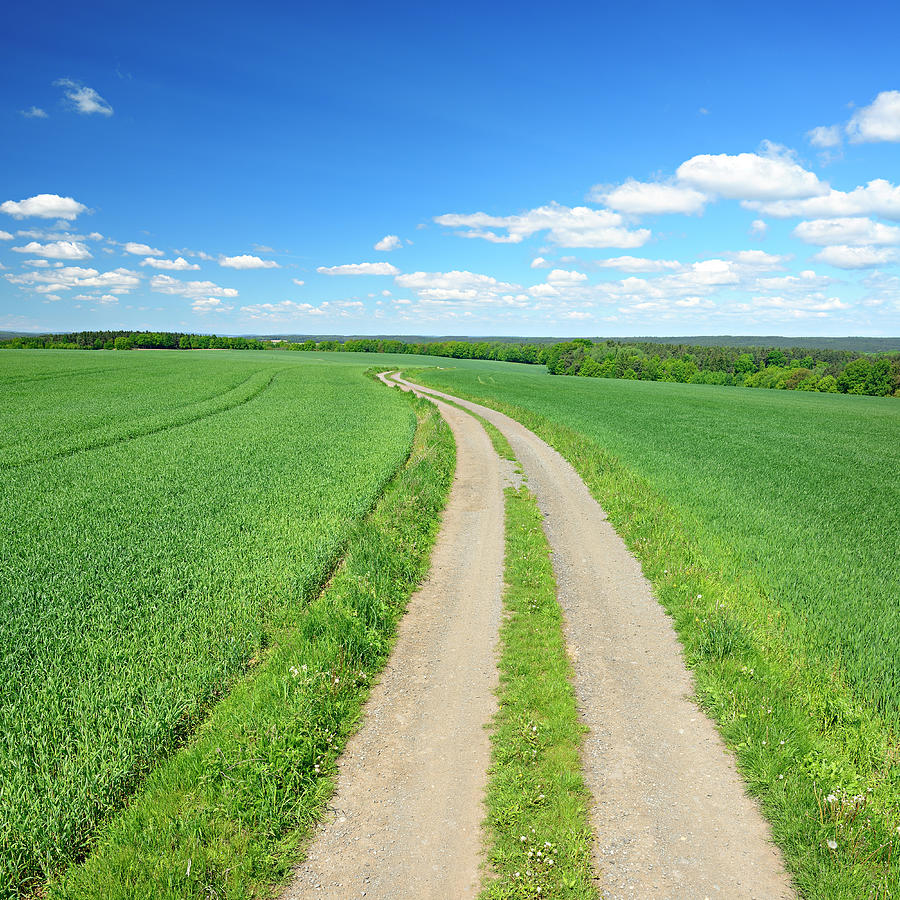 Seeing Green Fields In Dream Islam