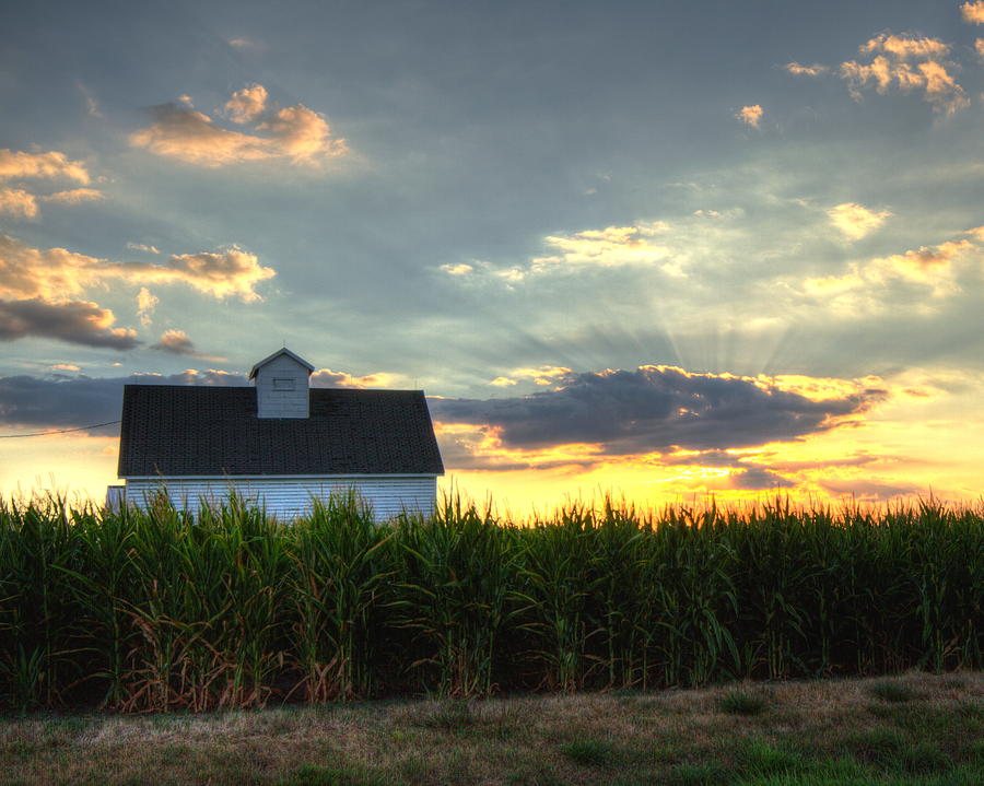 Farm-scape Photograph by Coby Cooper