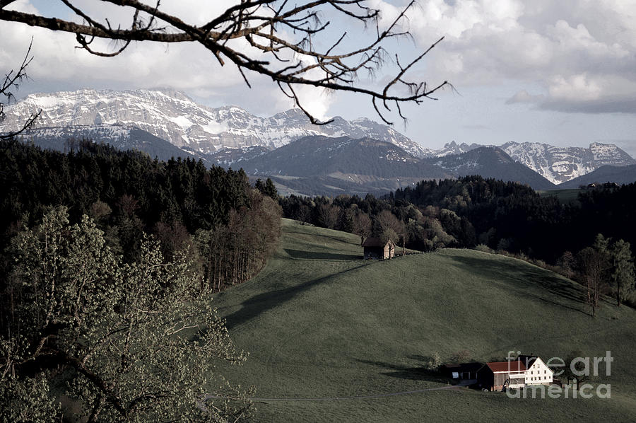 Farm Scene In Switzerland 2 Photograph