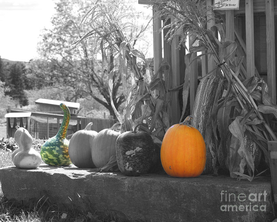 Farm Stand In Autumn Photograph by Smilin Eyes Treasures