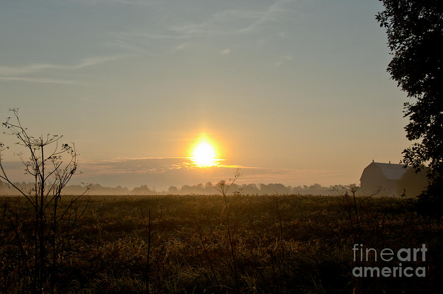 Farm Sunrise Photograph by Cheryl Baxter