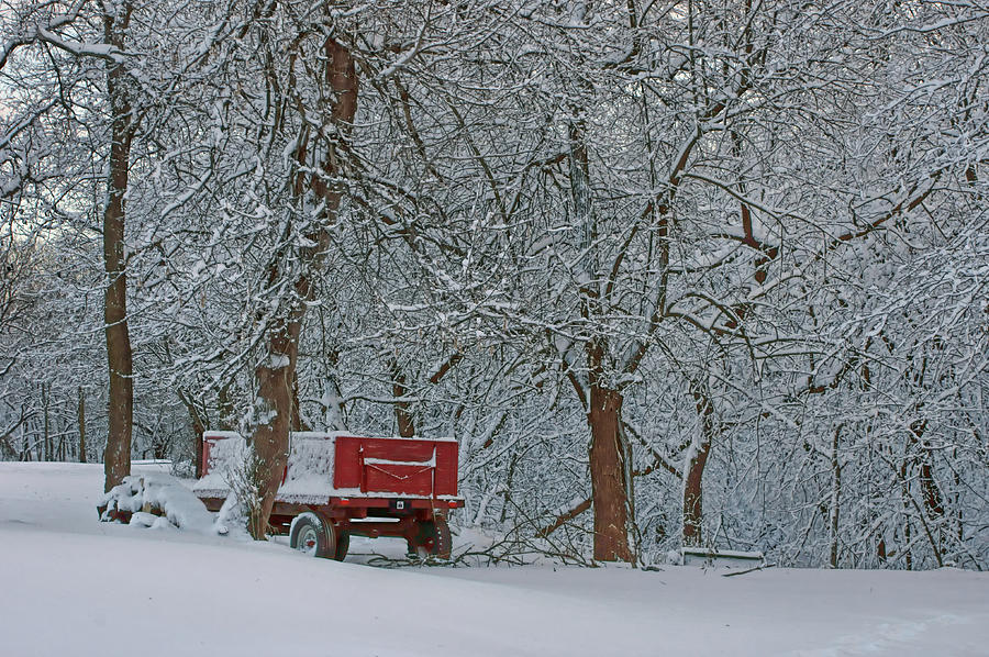 Farm Wagon in Winter Photograph by Nikolyn McDonald
