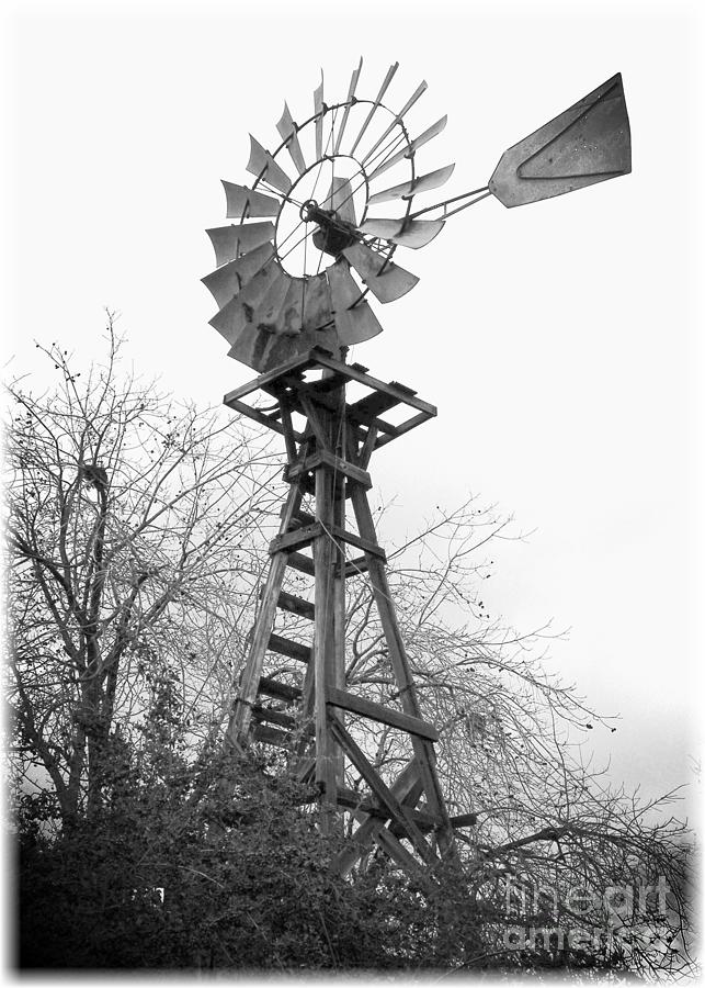 Farm Windmill - Black and White Photograph by Carol Groenen