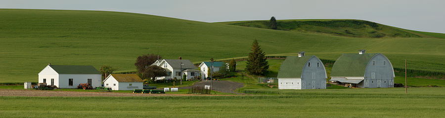 Farm With Double Barns In Wheat Fields Photograph by Panoramic Images ...