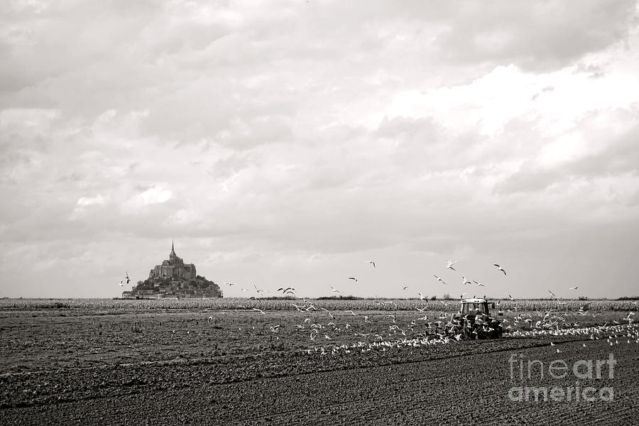 Farm Work at Mont Saint Michel Photograph by Olivier Le Queinec