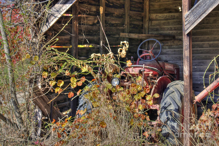 Farmall Find Photograph by Benanne Stiens