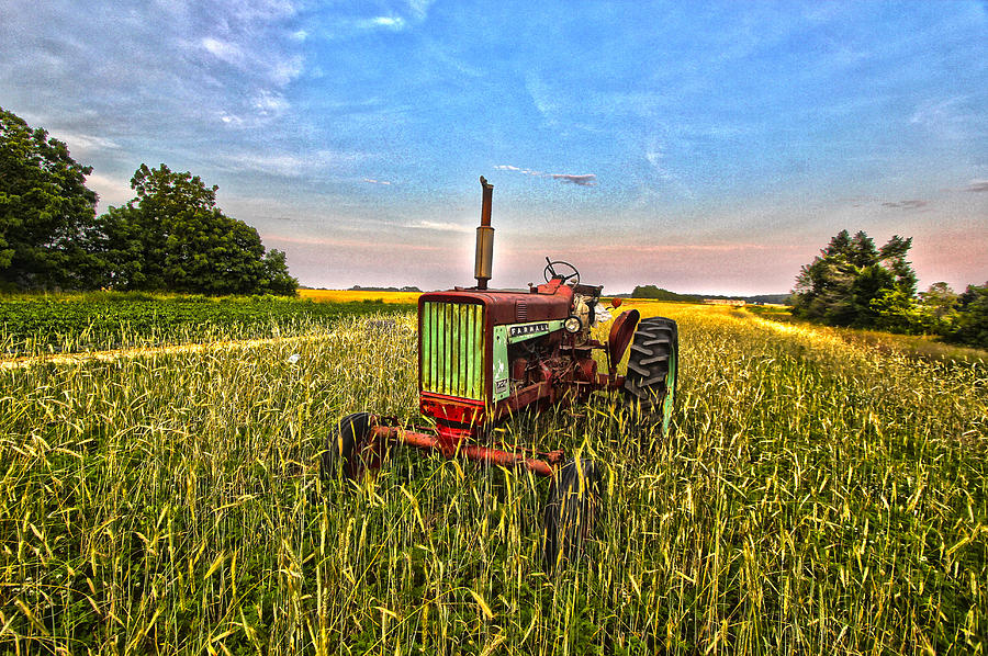 Farmall Tractor I Photograph by Robert Seifert