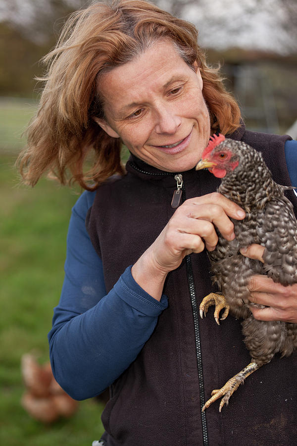 Farmer Woman Is Holding Chicken Photograph by Henn Photography | Fine ...