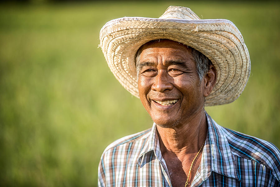 Farmers are happy with the success. Photograph by Boonchai Wedmakawand