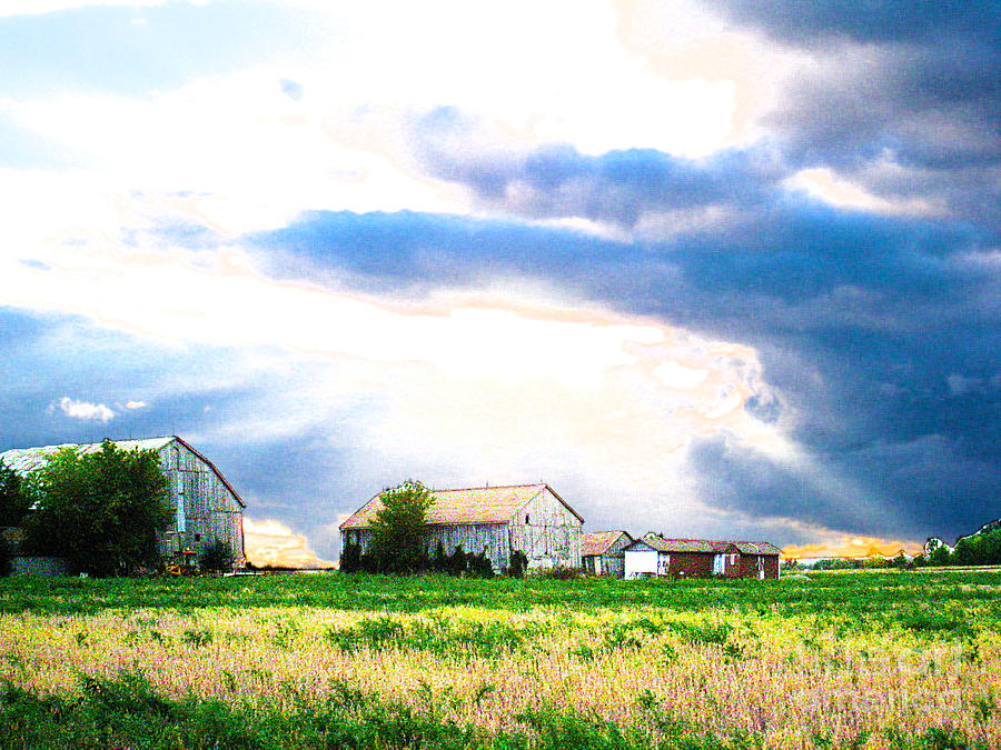 Farmers Field at Sundown Photograph by Nina Silver
