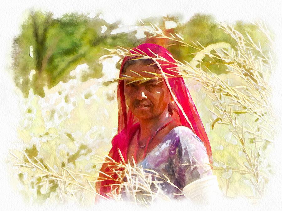 Buddha Photograph - Farmers Fields Harvest India Rajasthan 8 by Sue Jacobi