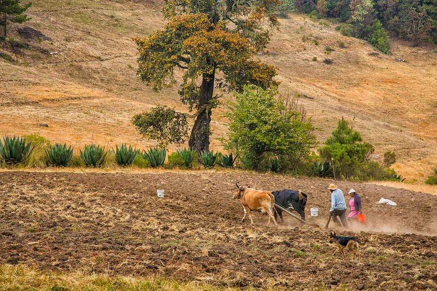 Farmers in Latuvi Mexico Photograph by Jurgen Lorenzen