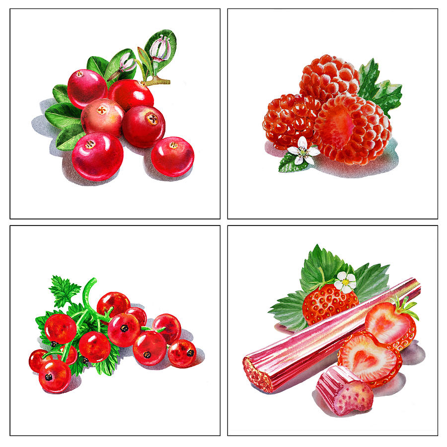 Fruit Painting - Farmers Market Gifts Red Vitamins by Irina Sztukowski