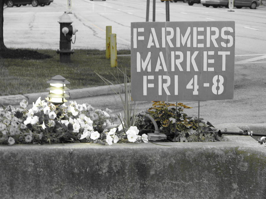Farmers Market Photograph by Michael Krek