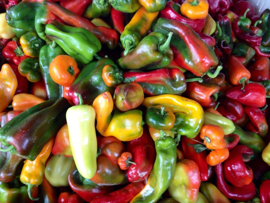 Farmers Market Peppers Photograph by Suzanne Lorenz