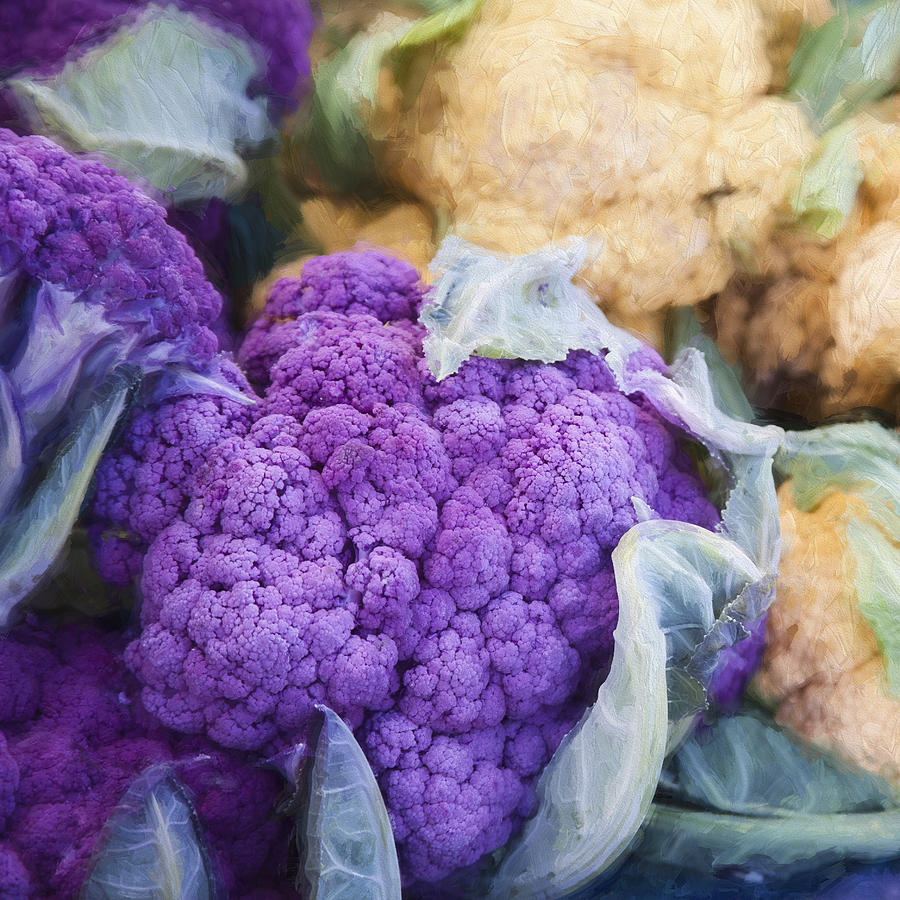 Cauliflower Digital Art - Farmers Market Purple Cauliflower Square by Carol Leigh