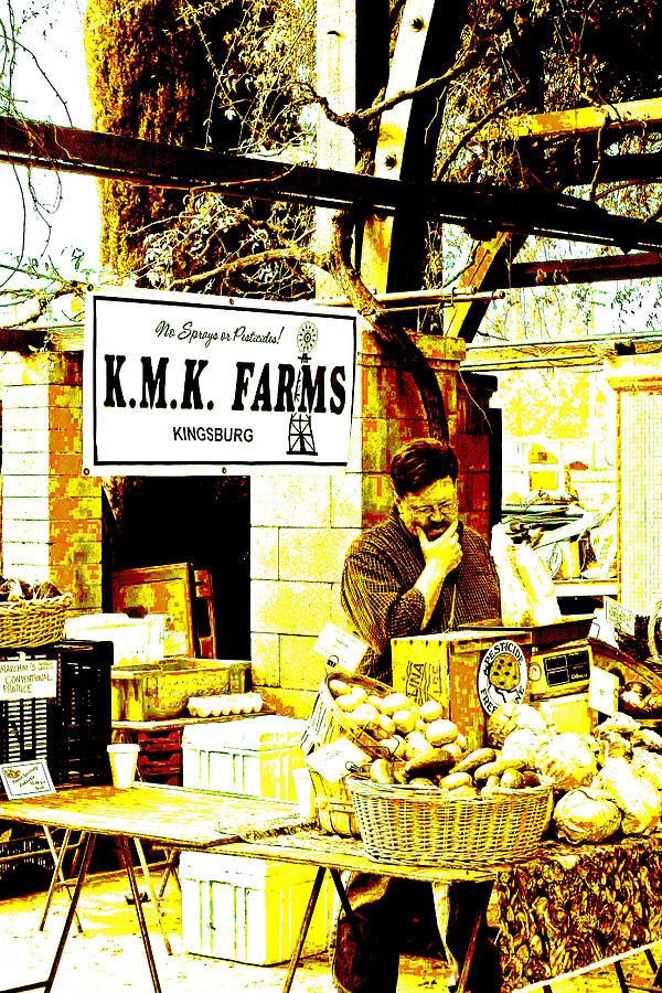 Farmers Market Vendor Digital Art by Joseph Coulombe
