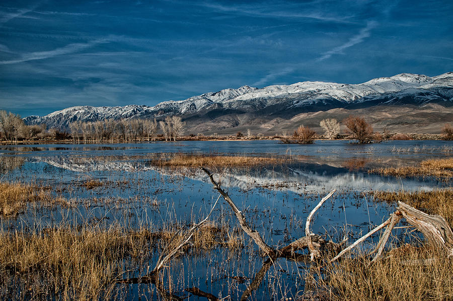 Mountain Photograph - Farmers Pond by Cat Connor