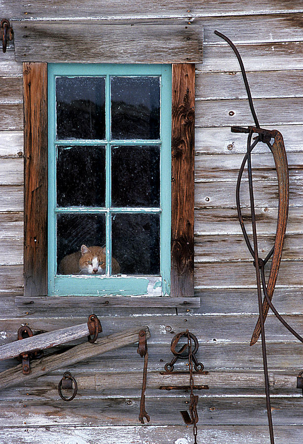 Farmhand Photograph by Doug Davidson