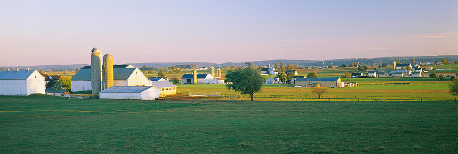 Architecture Photograph - Farmhouse In A Field, Amish Farms by Panoramic Images