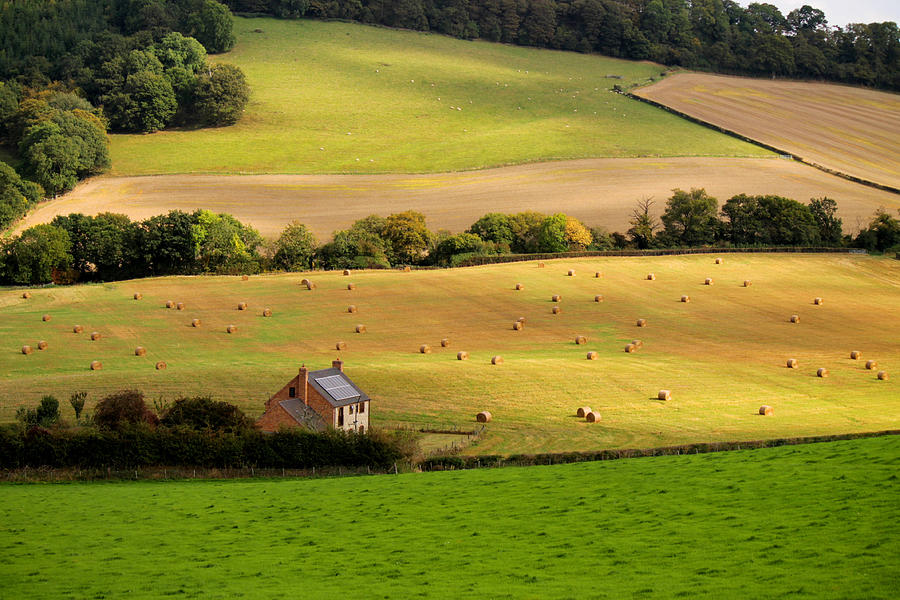 Farmhouse in English field by Sarah Broadmeadow-Thomas Farmhouse in English field by Sarah Broadmeadow-Thomas