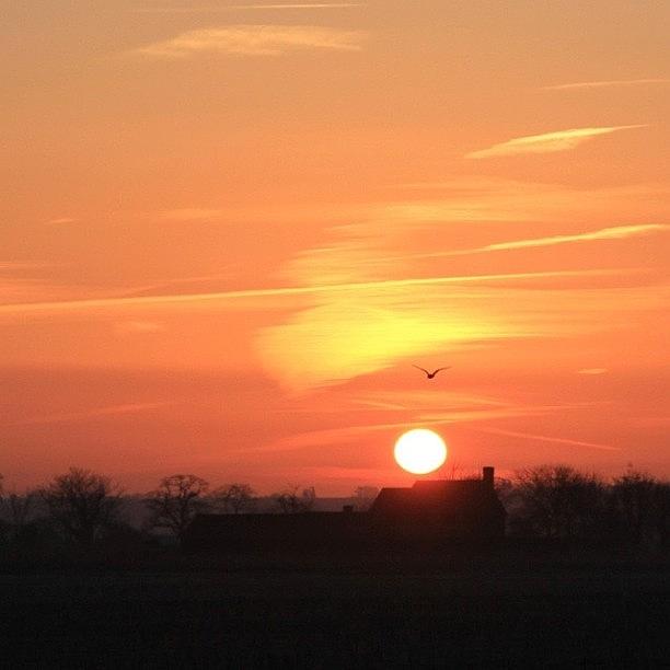 Bd Photograph - Farmhouse Sunrise Captured This Morning by Chris Barber