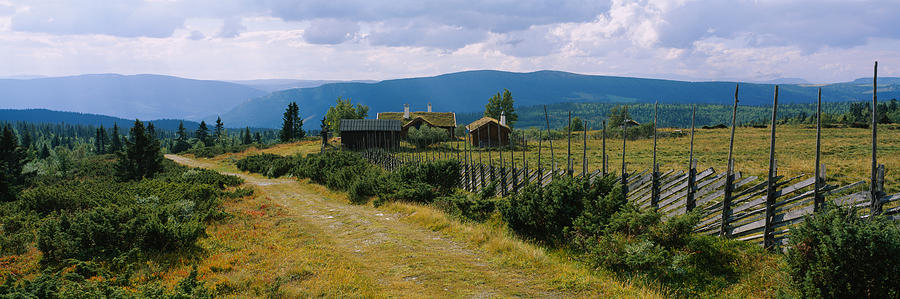 Nature Photograph - Farmhouses In A Field, Gudbrandsdalen by Panoramic Images