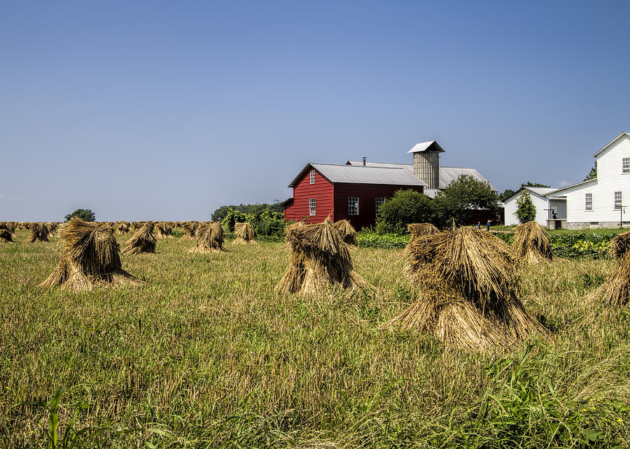 Farming Amish Style Photograph by Kathy Clark