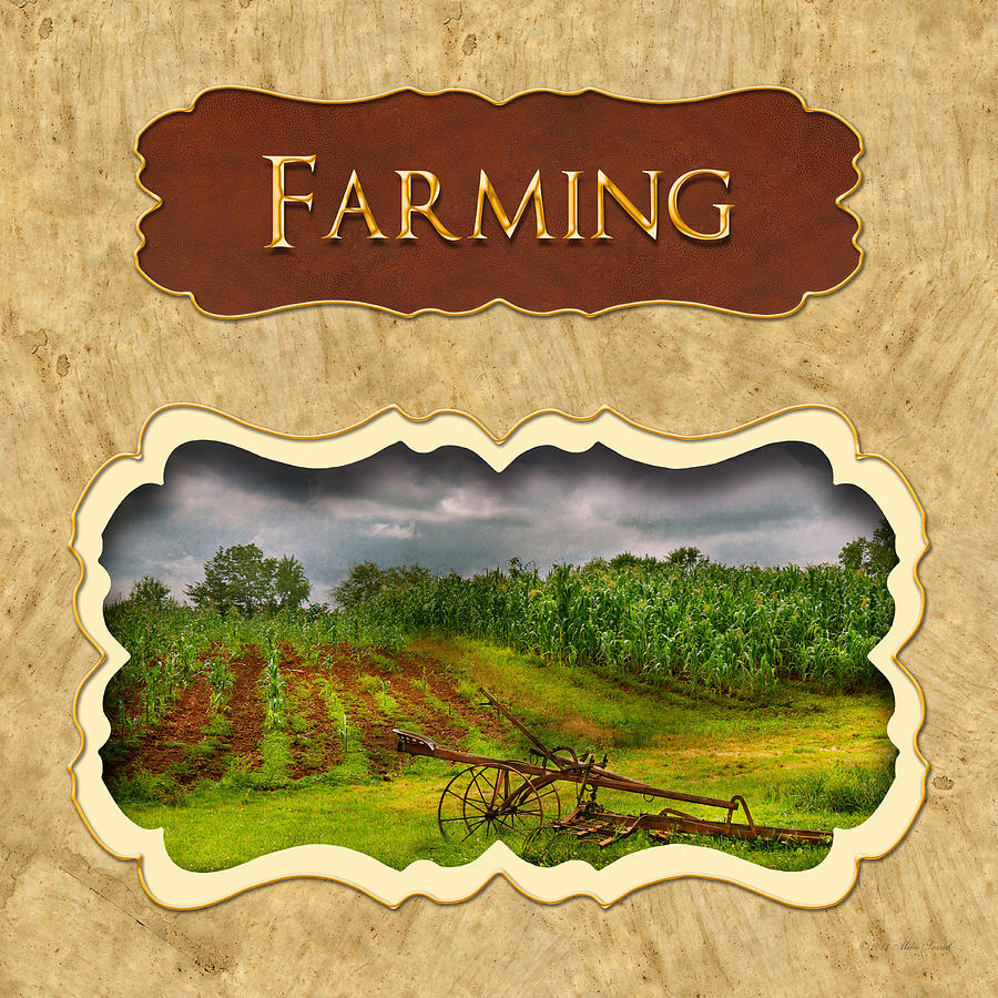 Farm Photograph - Farming and country life button by Mike Savad