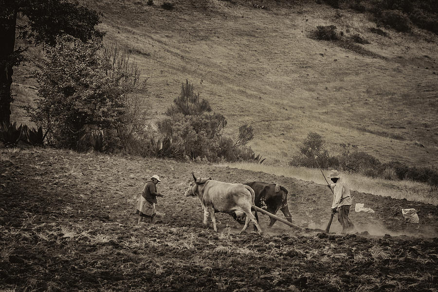 Farming Couple Latuvi Photograph by Jurgen Lorenzen