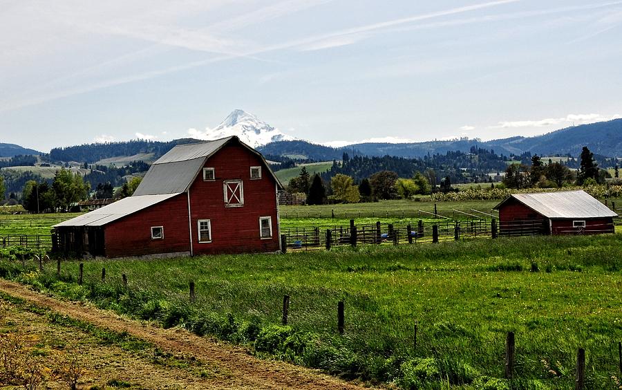 Barn Photograph - Farming In Oregon by Image Takers Photography LLC - Laura Morgan