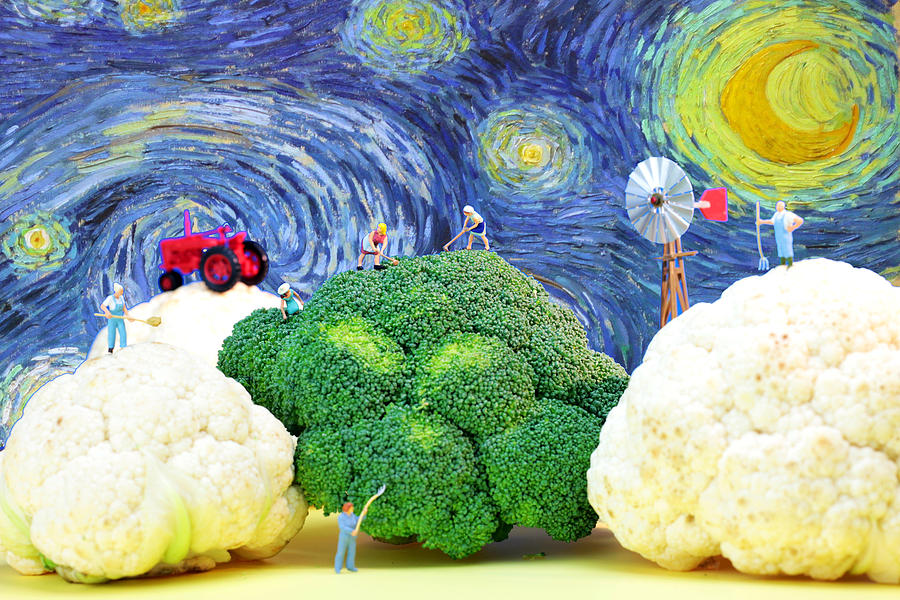 Farming on broccoli and cauliflower under starry night Photograph by Paul Ge